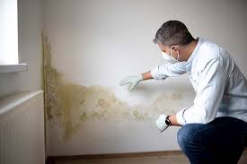 Best Mold Remediation for Healthcare Facilities in Anahola, HI